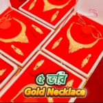 WhatsApp Image 2025-12-19 at 1.15.08 PM (3)